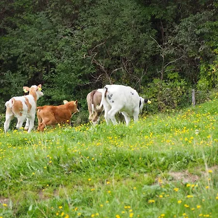 Biohof Stockreiter Vulgo Grillschmied Alojamento de Turismo Rural *