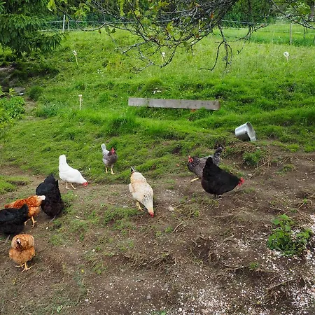 Farmház Biohof Stockreiter Vulgo Grillschmied *