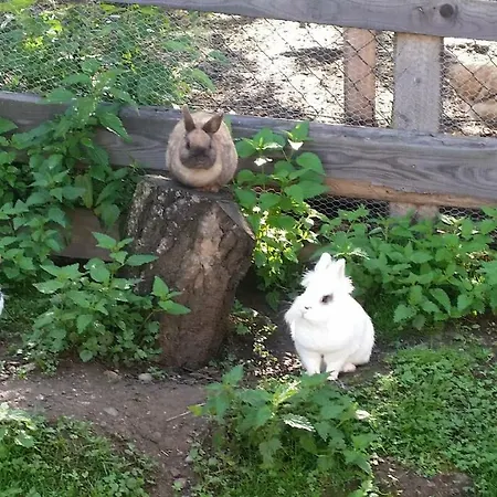 Biohof Stockreiter Vulgo Grillschmied Farmház *