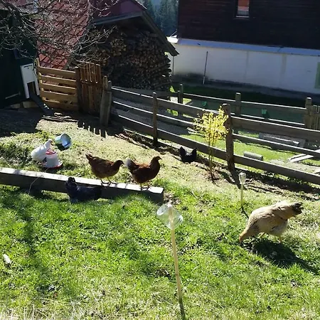 Stockreiter Vulgo Grillschmied Séjour à la ferme *