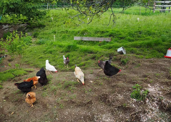 Farmház Biohof Stockreiter Vulgo Grillschmied *