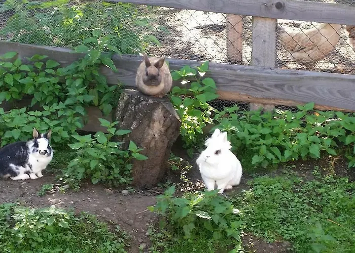Biohof Stockreiter Vulgo Grillschmied Farmház *