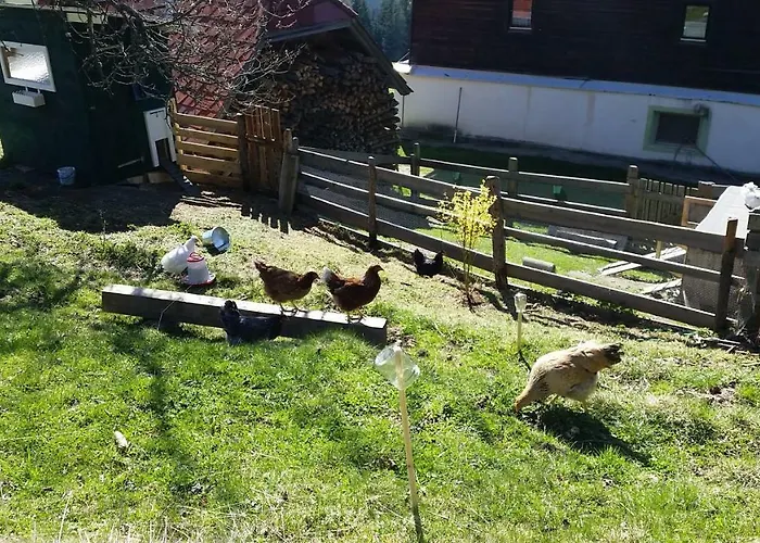 Biohof Stockreiter Vulgo Grillschmied Farm stay *